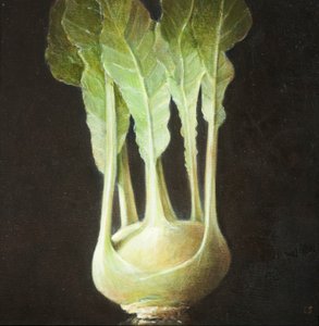 Kohl Rabi, 2012